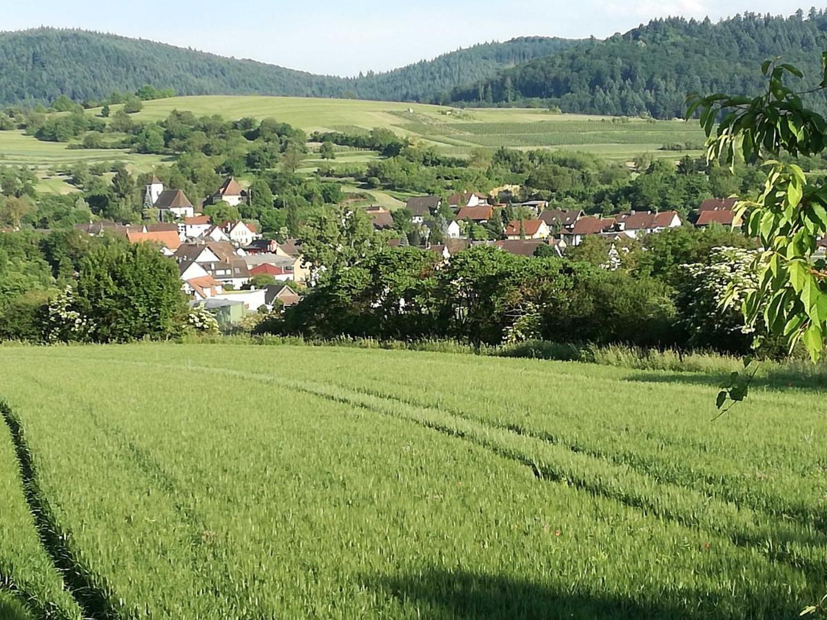 Galerie Ueber Den Gaerten Herbolzheim Esterno foto