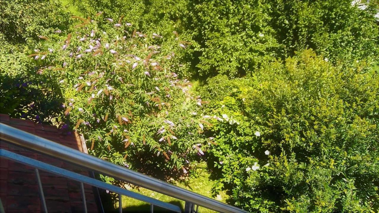 Galerie Ueber Den Gaerten Herbolzheim Esterno foto