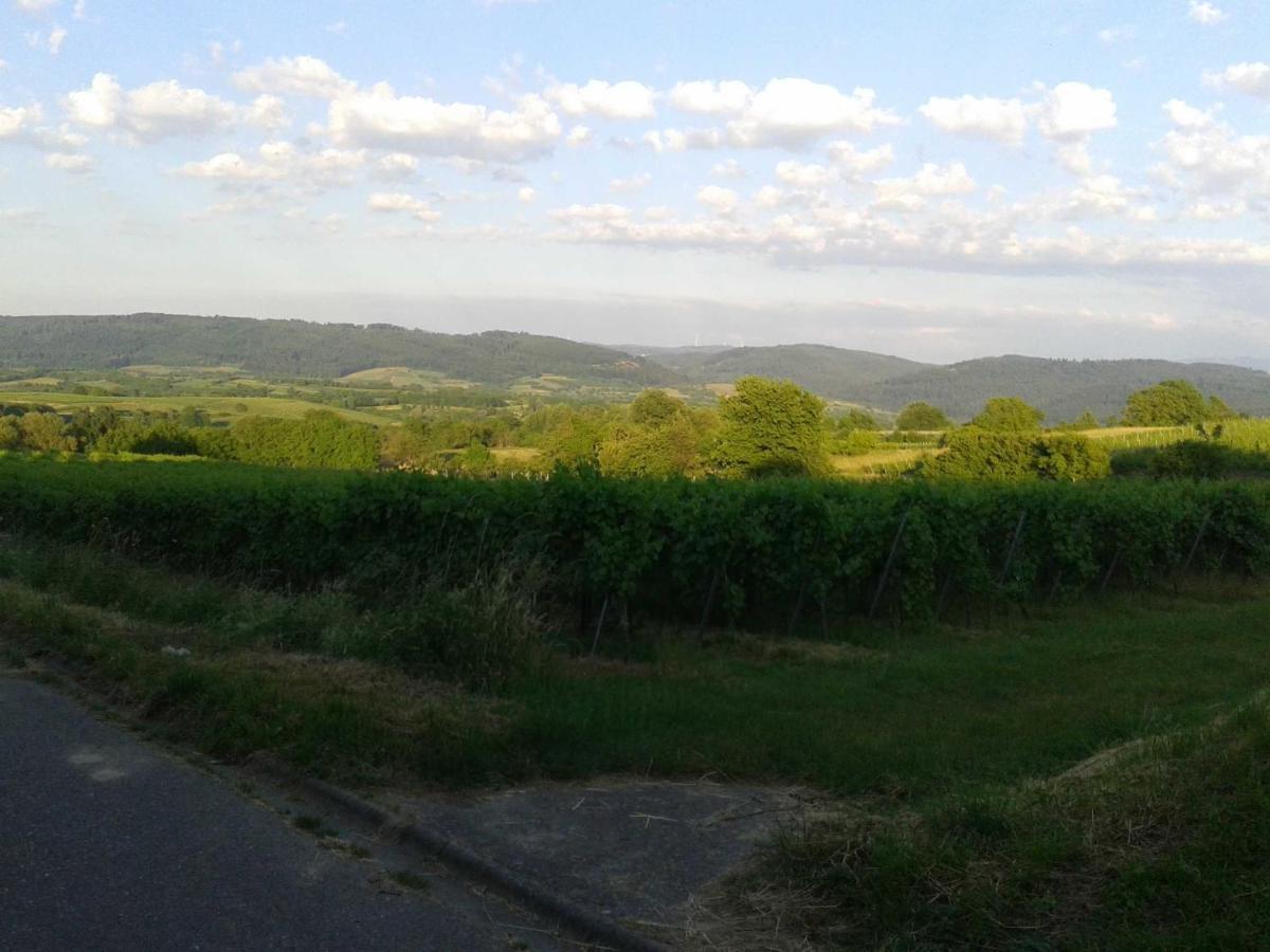 Galerie Ueber Den Gaerten Herbolzheim Esterno foto