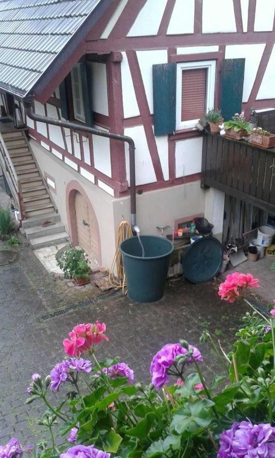 Galerie Ueber Den Gaerten Herbolzheim Esterno foto