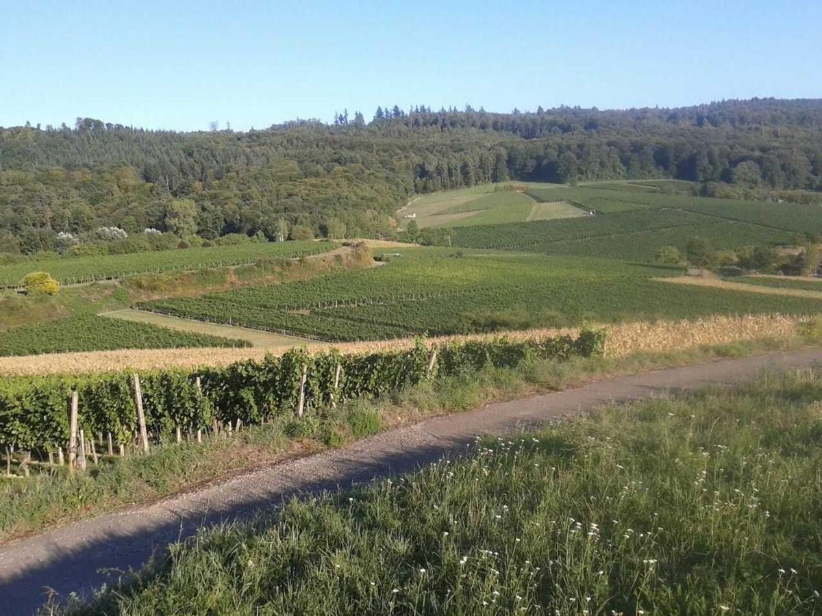 Galerie Ueber Den Gaerten Herbolzheim Esterno foto