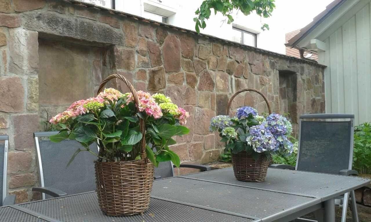 Galerie Ueber Den Gaerten Herbolzheim Esterno foto