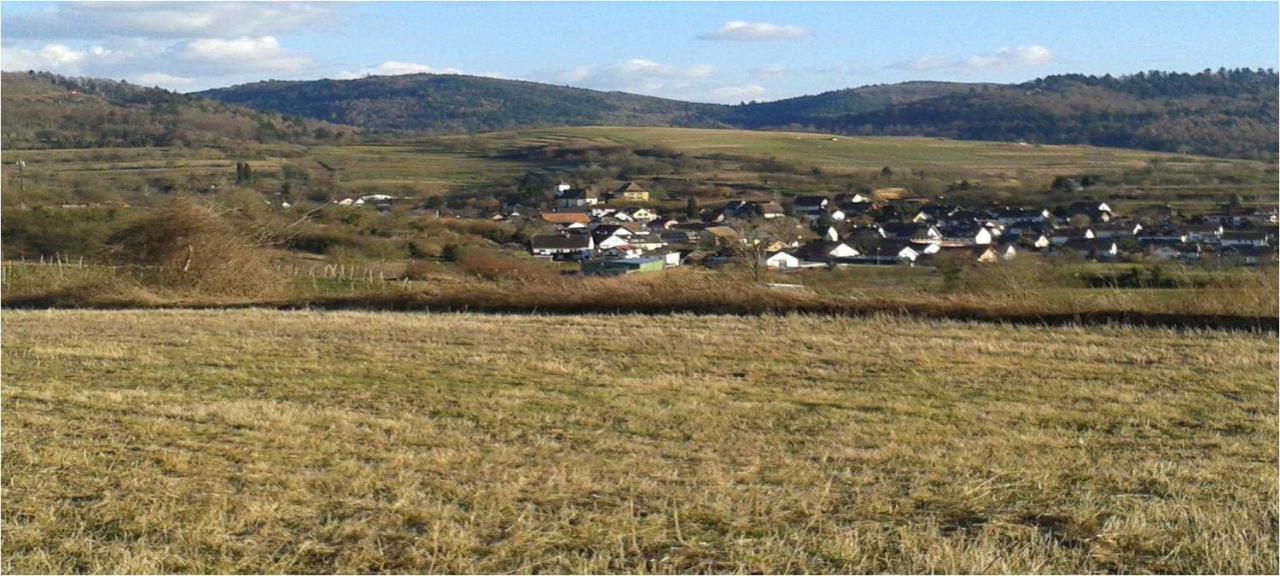 Galerie Ueber Den Gaerten Herbolzheim Esterno foto